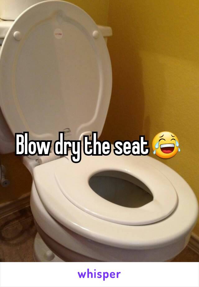 Blow dry the seat😂
