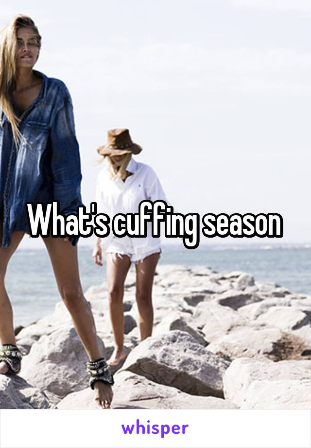 What's cuffing season 