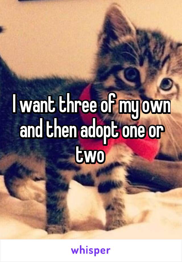 I want three of my own and then adopt one or two 