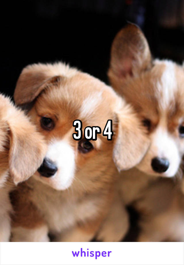 3 or 4