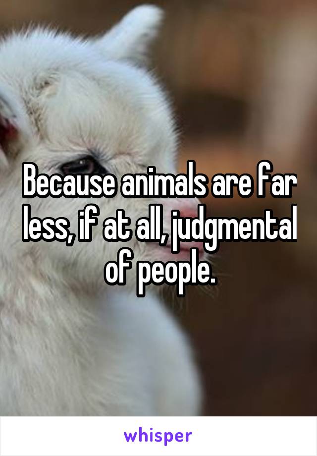 Because animals are far less, if at all, judgmental of people.