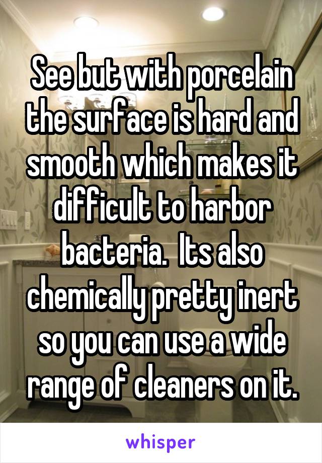 See but with porcelain the surface is hard and smooth which makes it difficult to harbor bacteria.  Its also chemically pretty inert so you can use a wide range of cleaners on it.