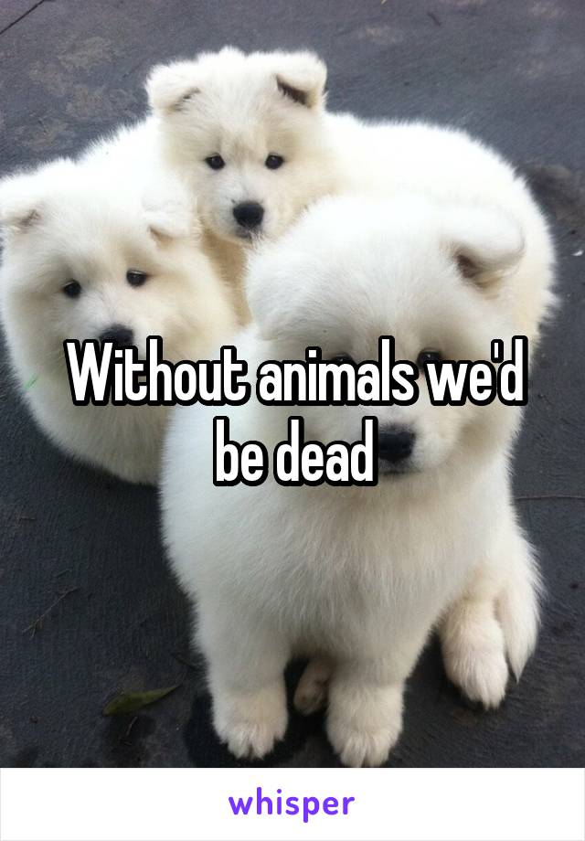 Without animals we'd be dead