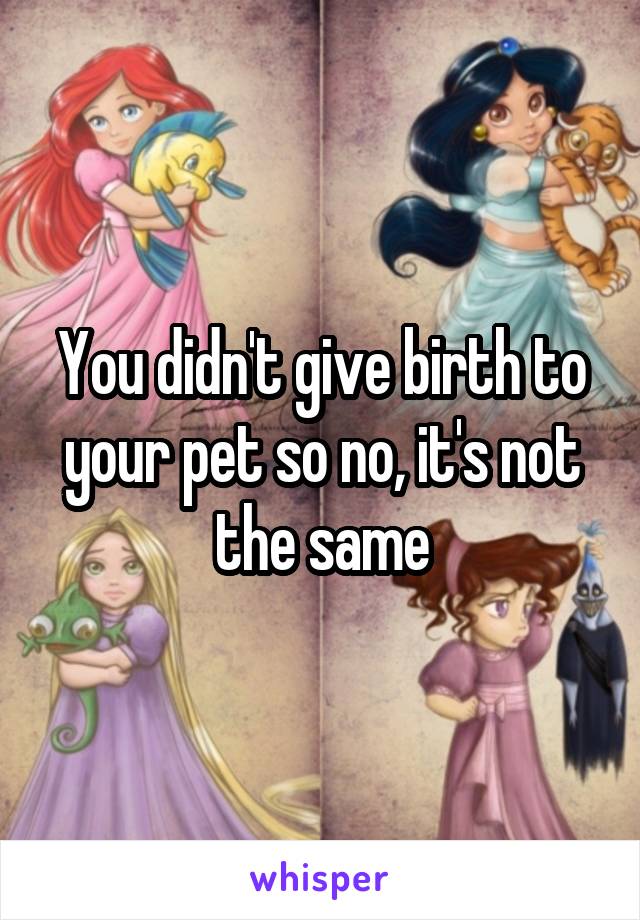 You didn't give birth to your pet so no, it's not the same