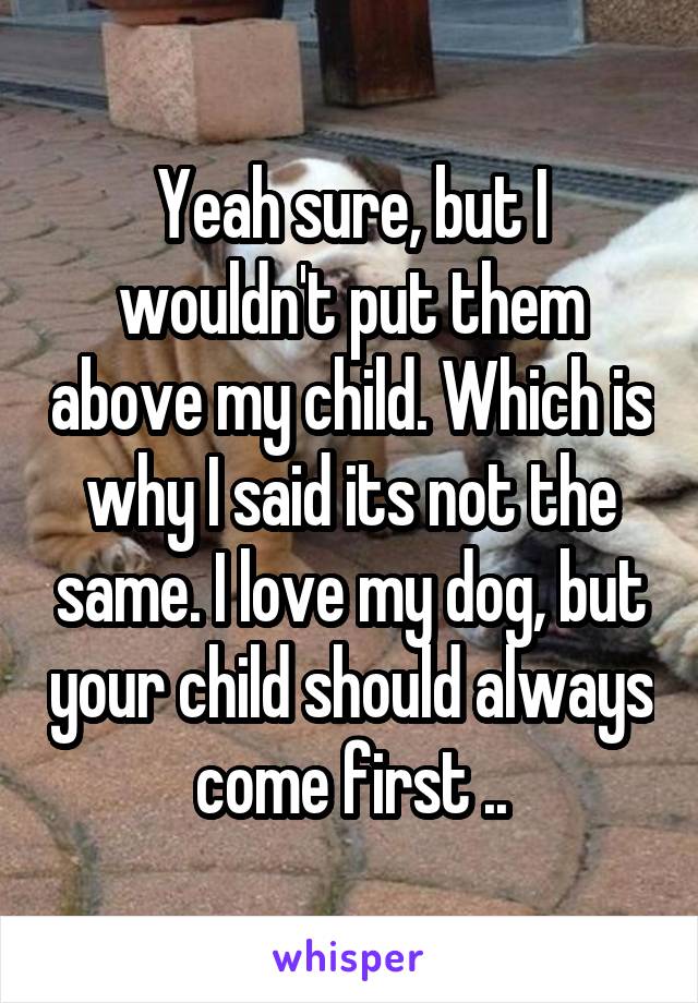 Yeah sure, but I wouldn't put them above my child. Which is why I said its not the same. I love my dog, but your child should always come first ..