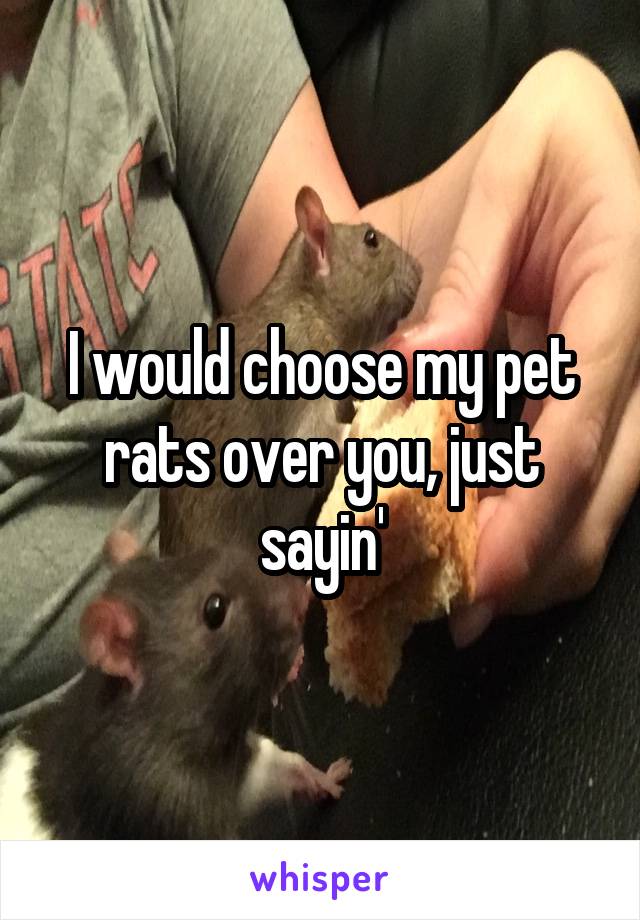 I would choose my pet rats over you, just sayin'