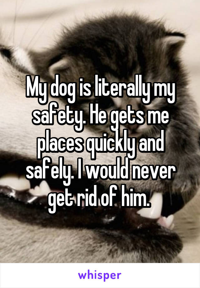 My dog is literally my safety. He gets me places quickly and safely. I would never get rid of him. 