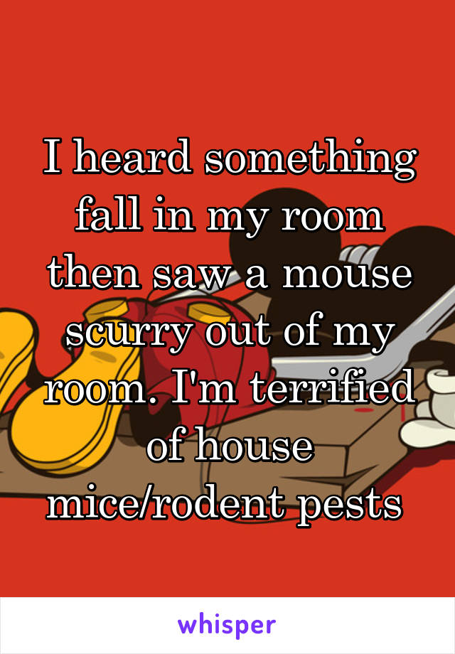 I heard something fall in my room then saw a mouse scurry out of my room. I'm terrified of house mice/rodent pests 