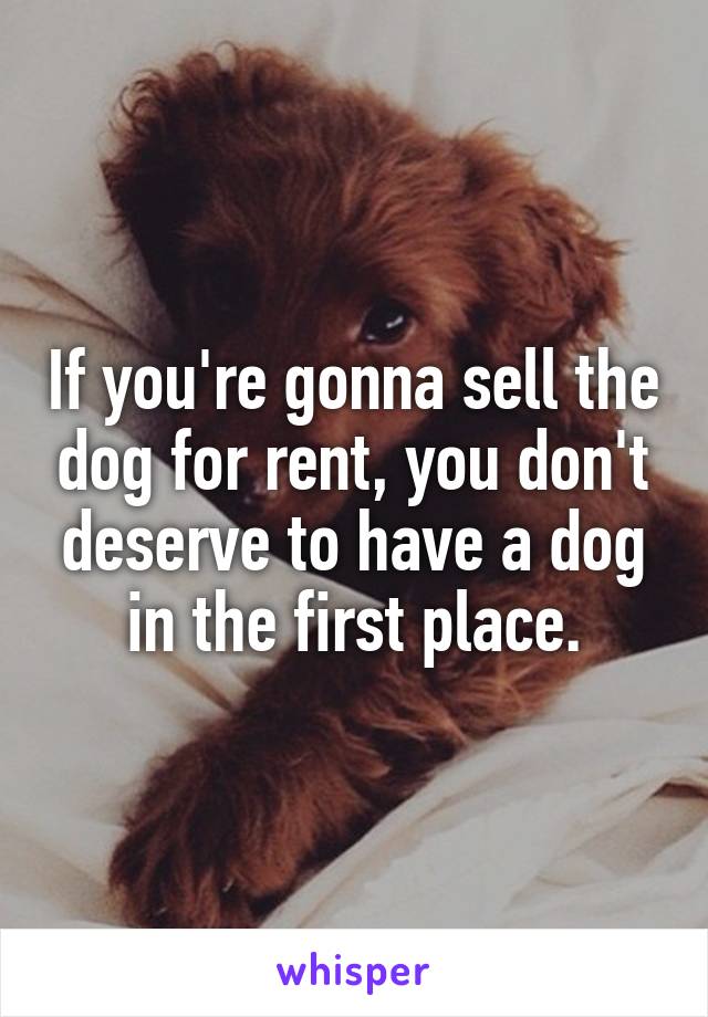 If you're gonna sell the dog for rent, you don't deserve to have a dog in the first place.