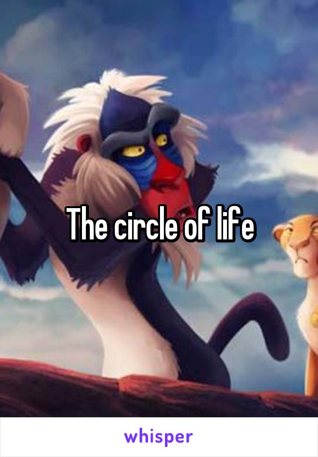 The circle of life