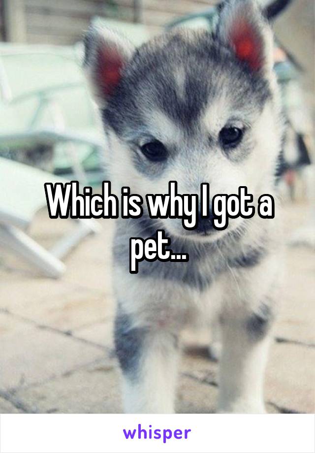 Which is why I got a pet...