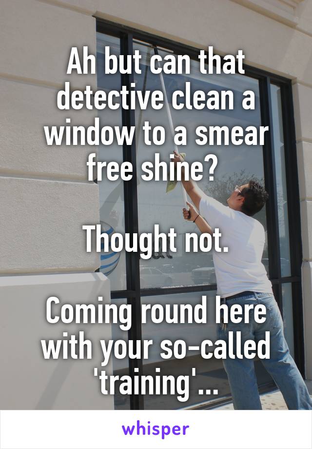 Ah but can that detective clean a window to a smear free shine? 

Thought not.

Coming round here with your so-called 'training'...