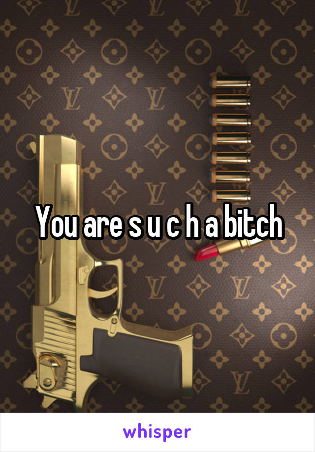 You are s u c h a bitch