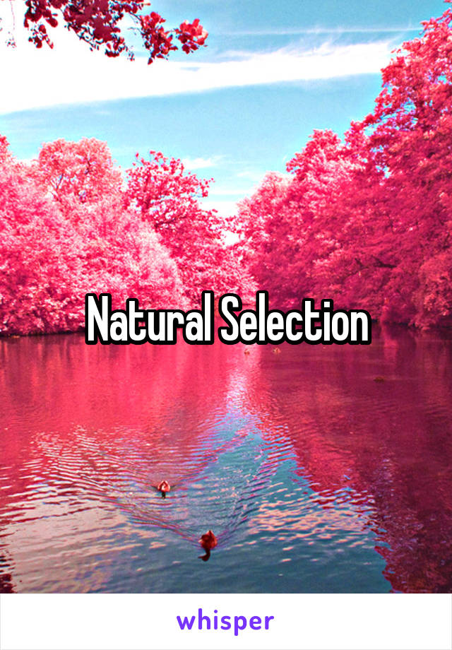 Natural Selection