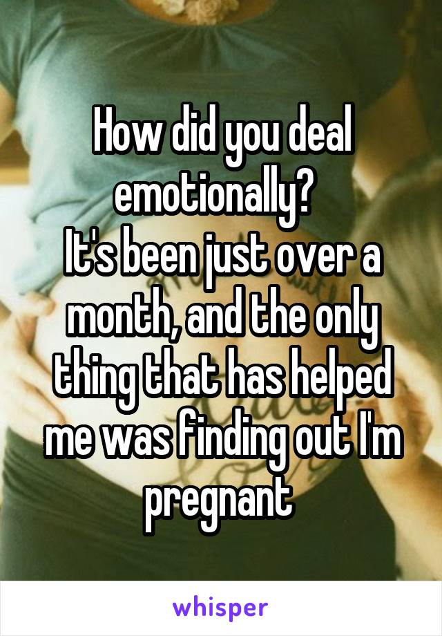 How did you deal emotionally?  
It's been just over a month, and the only thing that has helped me was finding out I'm pregnant 