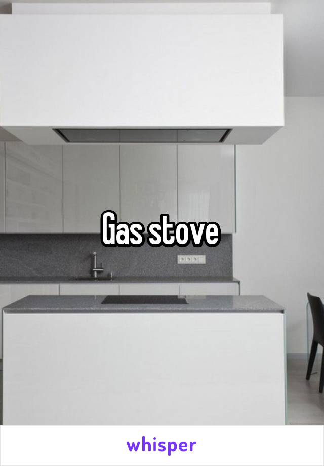 Gas stove 