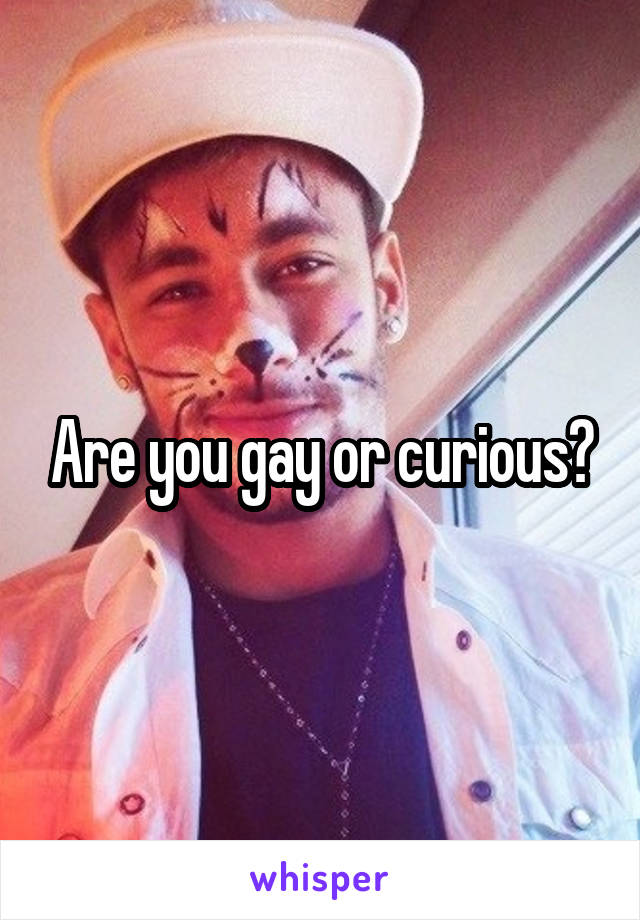 Are you gay or curious?