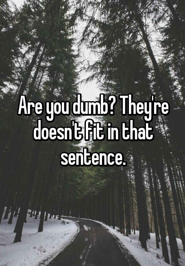 are-you-dumb-they-re-doesn-t-fit-in-that-sentence