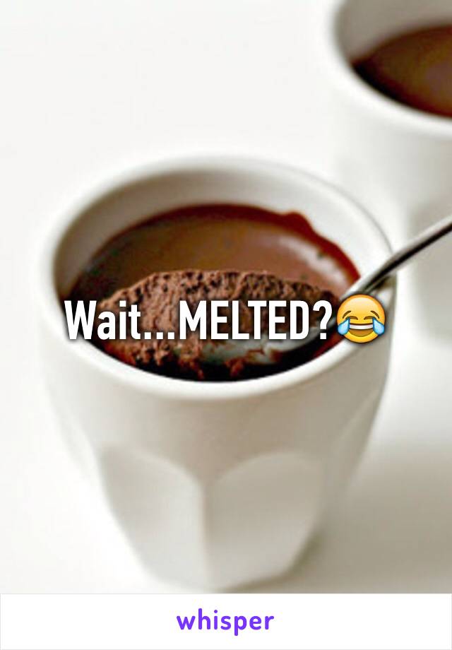 Wait...MELTED?😂