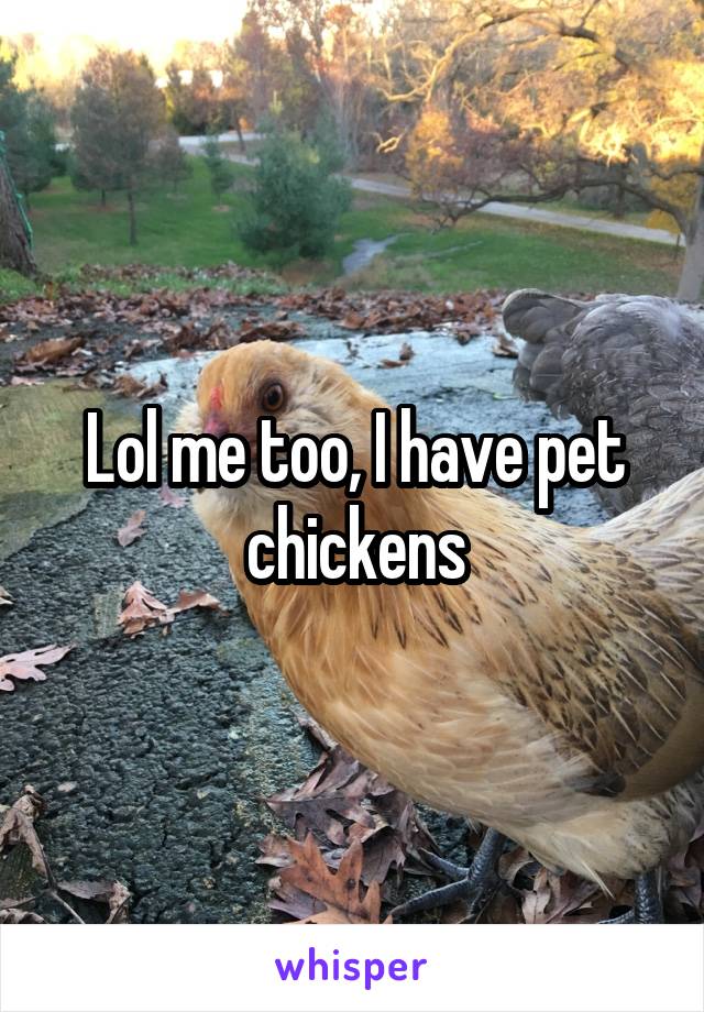 Lol me too, I have pet chickens