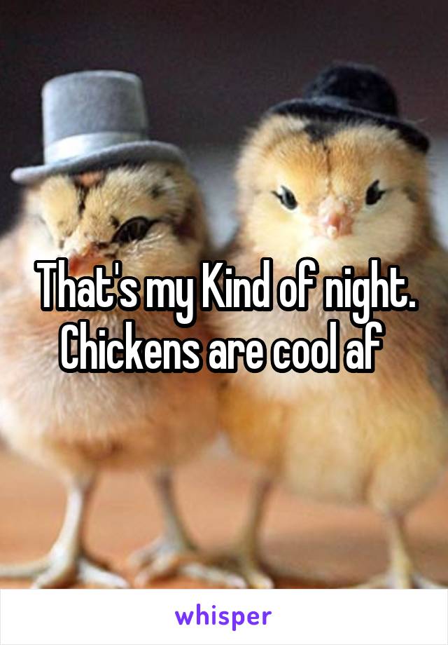 That's my Kind of night. Chickens are cool af 