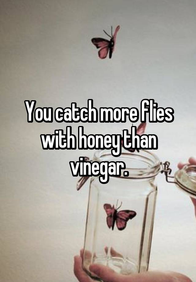 You Catch More Flies With Honey Than Vinegar