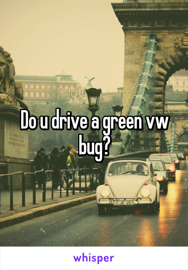 Do u drive a green vw bug?