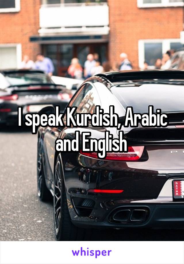 I speak Kurdish, Arabic and English 