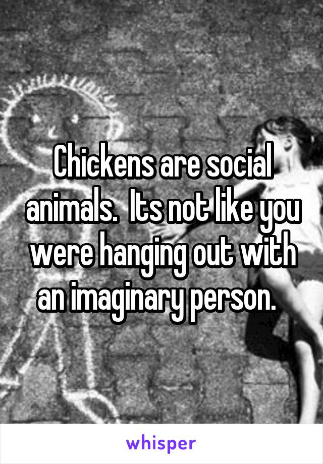 Chickens are social animals.  Its not like you were hanging out with an imaginary person.  