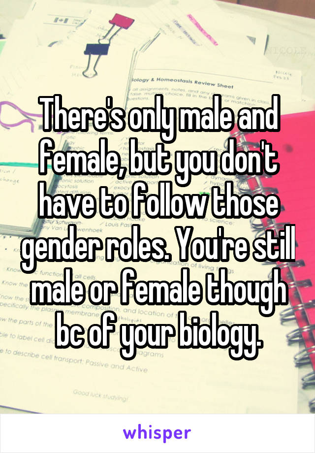 There's only male and female, but you don't have to follow those gender roles. You're still male or female though bc of your biology.