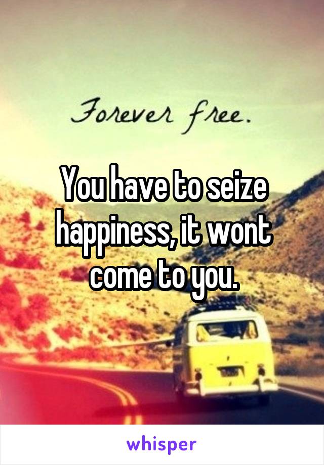 You have to seize happiness, it wont come to you.