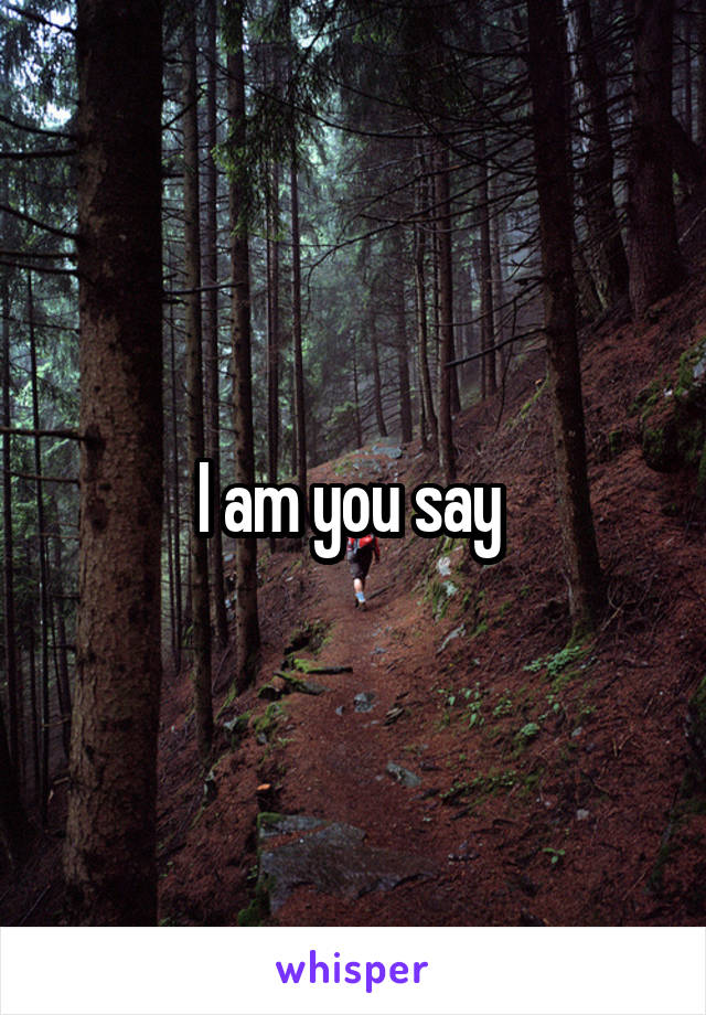 I am you say 