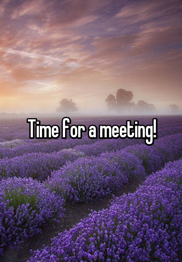 Time for a meeting!