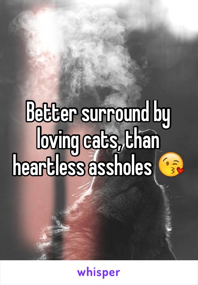 Better surround by loving cats, than heartless assholes 😘