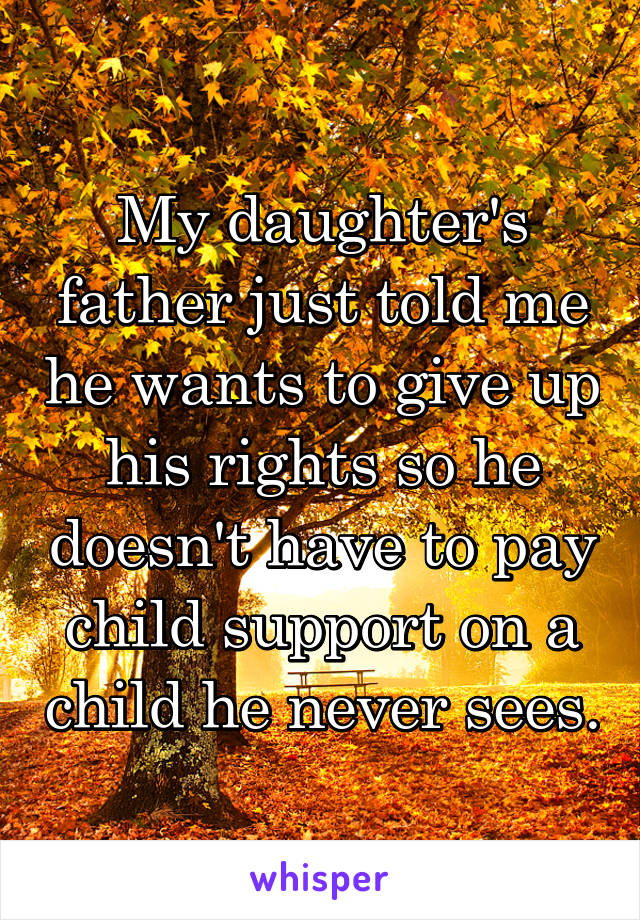 My daughter's father just told me he wants to give up his rights so he doesn't have to pay child support on a child he never sees.