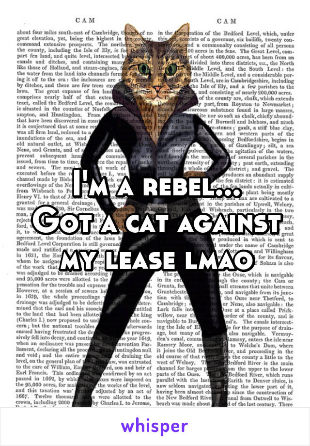 I'm a rebel...
Got a cat against my lease lmao