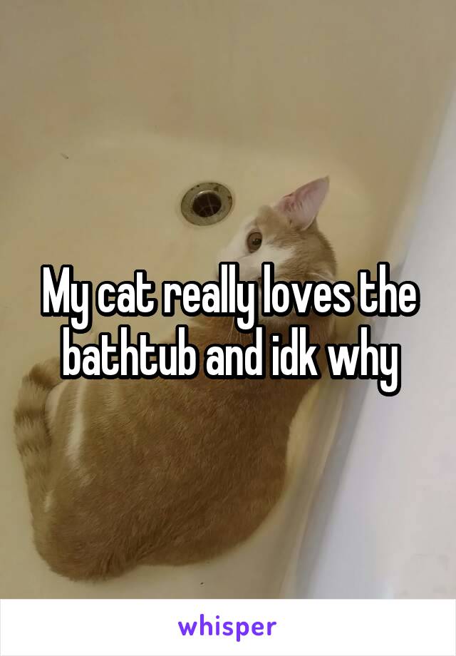 My cat really loves the bathtub and idk why