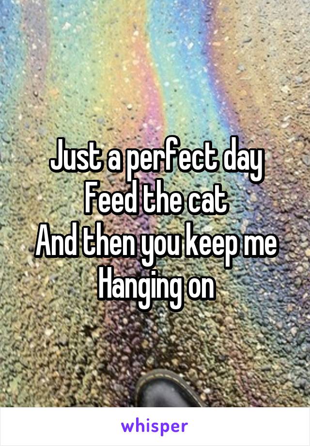 Just a perfect day
Feed the cat
And then you keep me
Hanging on