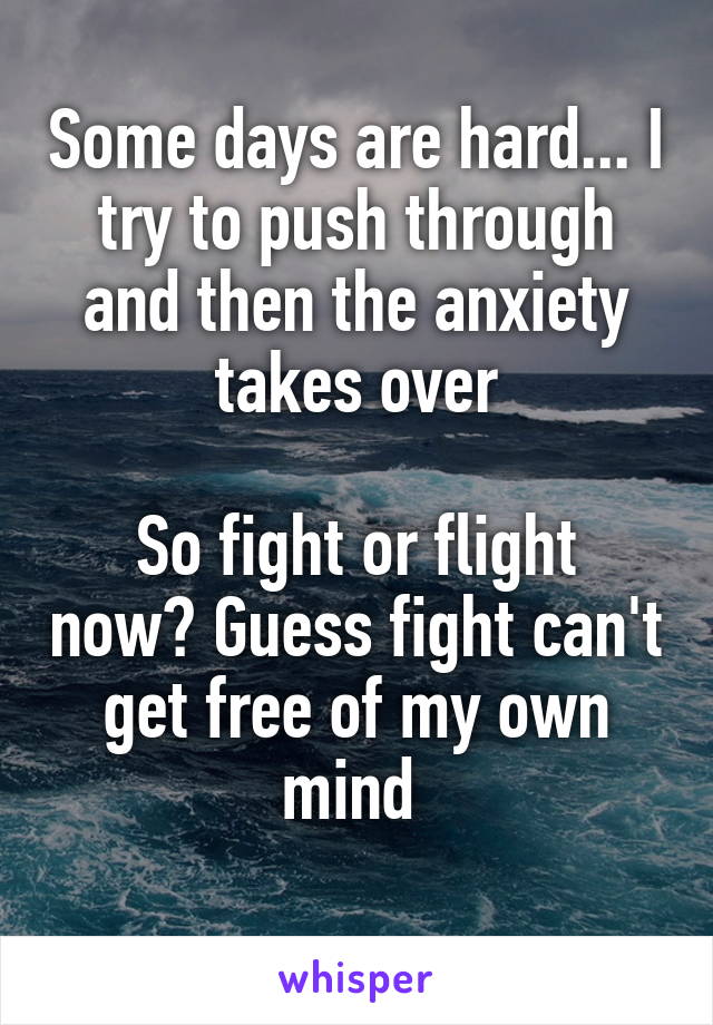 Some days are hard... I try to push through and then the anxiety takes over

So fight or flight now? Guess fight can't get free of my own mind 
