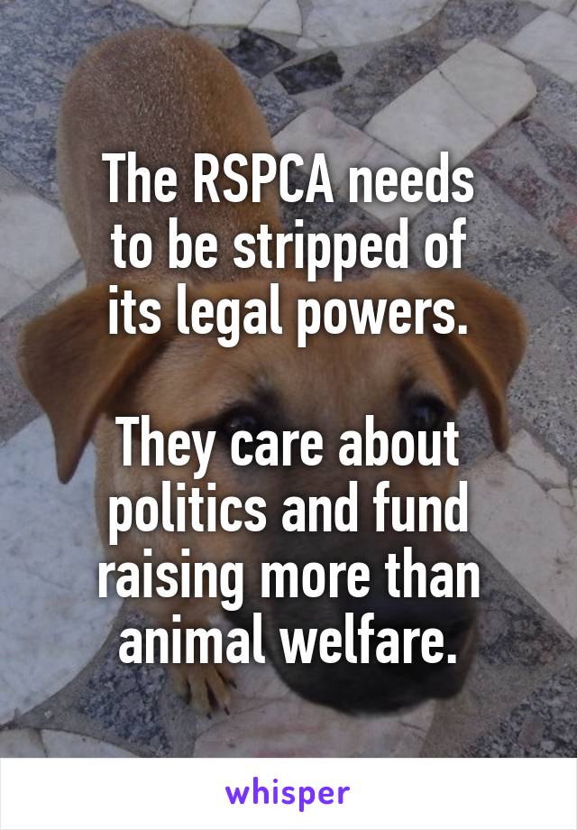 The RSPCA needs
to be stripped of
its legal powers.

They care about politics and fund raising more than animal welfare.