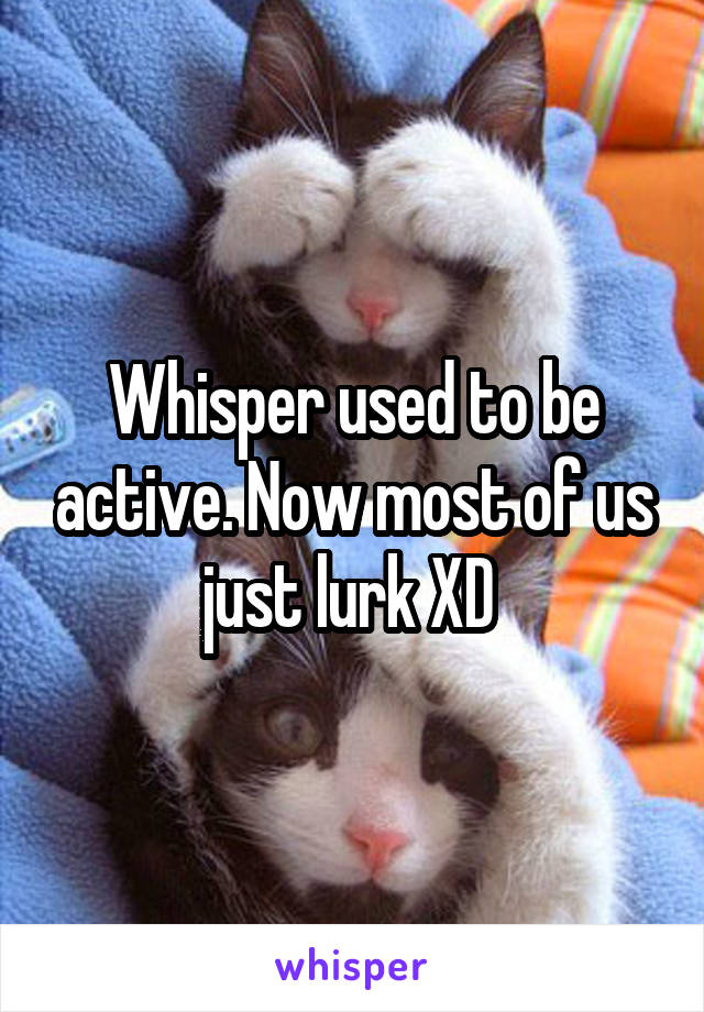 Whisper used to be active. Now most of us just lurk XD 