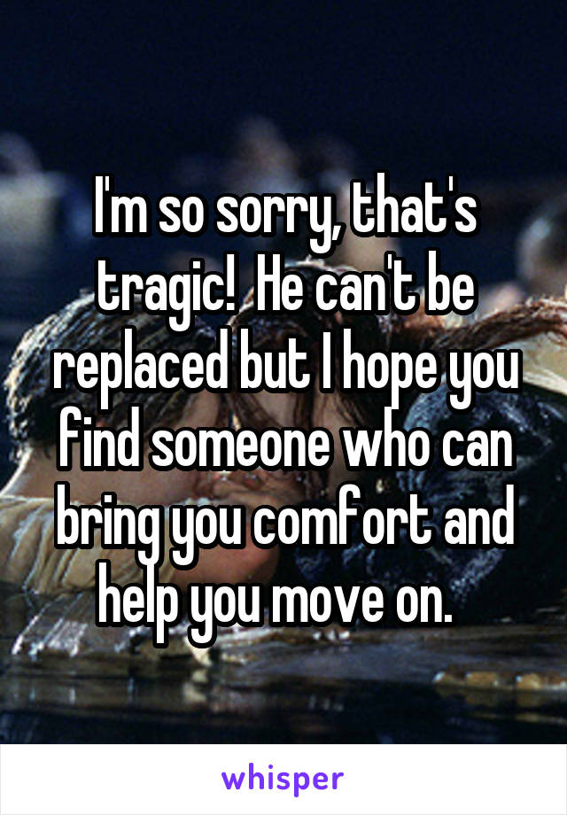 I'm so sorry, that's tragic!  He can't be replaced but I hope you find someone who can bring you comfort and help you move on.  