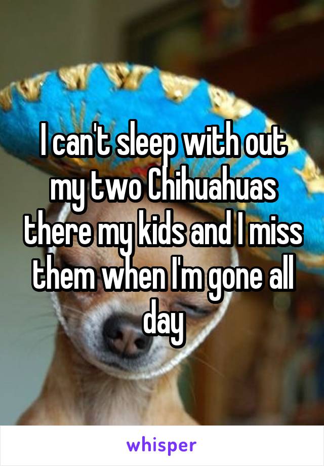 I can't sleep with out my two Chihuahuas there my kids and I miss them when I'm gone all day