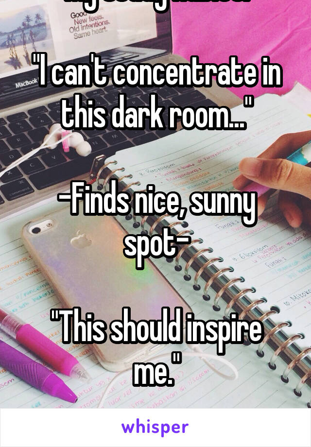 My study habits:

"I can't concentrate in this dark room..."

-Finds nice, sunny spot-

"This should inspire me."

-Falls asleep on book-