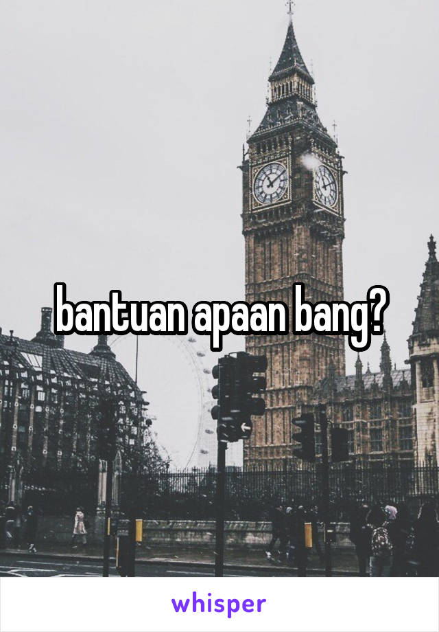 bantuan apaan bang?