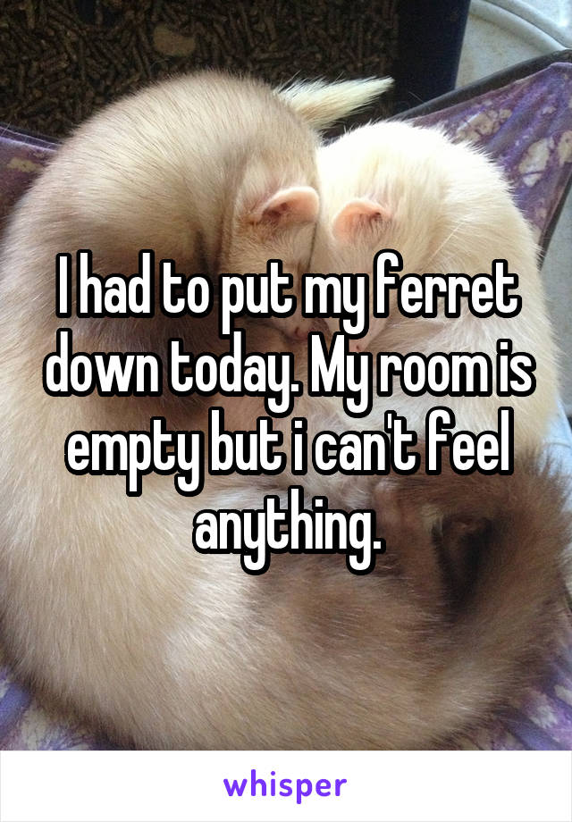 I had to put my ferret down today. My room is empty but i can't feel anything.