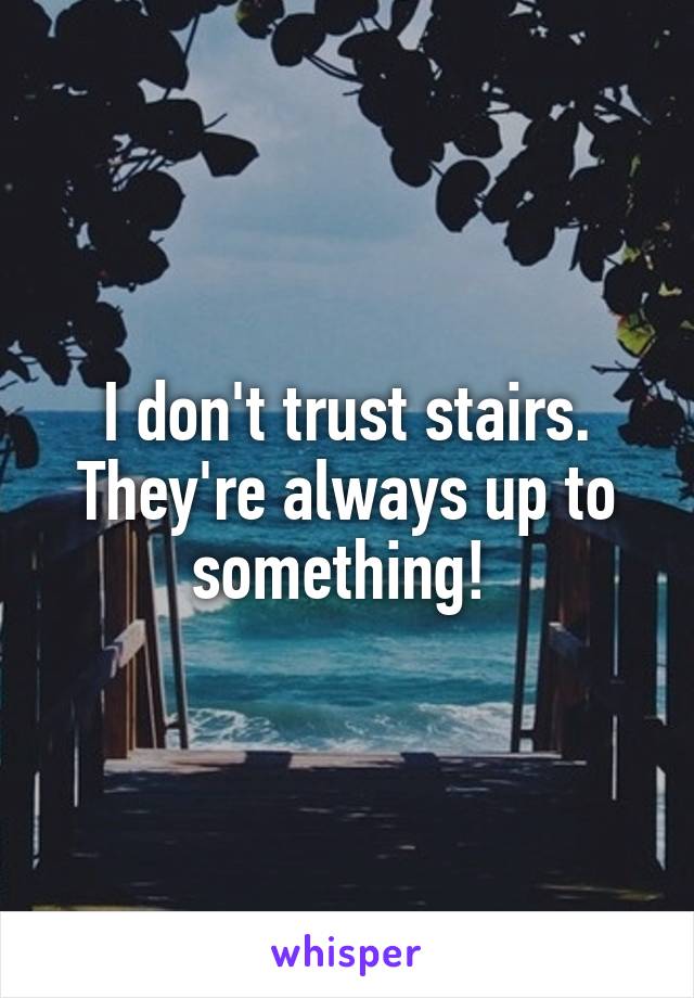 I don't trust stairs. They're always up to something! 