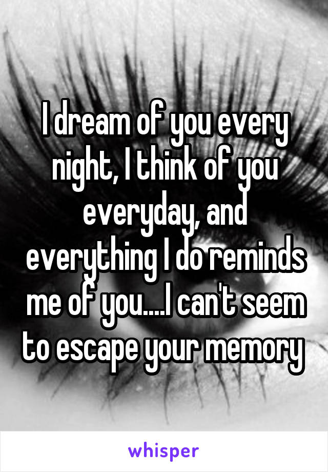 I dream of you every night, I think of you everyday, and everything I do reminds me of you....I can't seem to escape your memory 