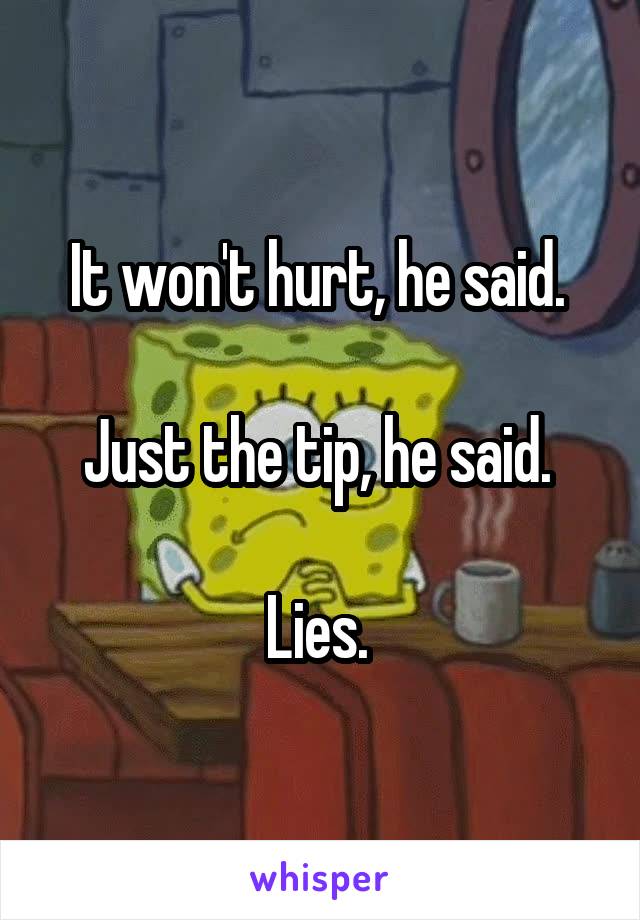 It won't hurt, he said. 

Just the tip, he said. 

Lies. 