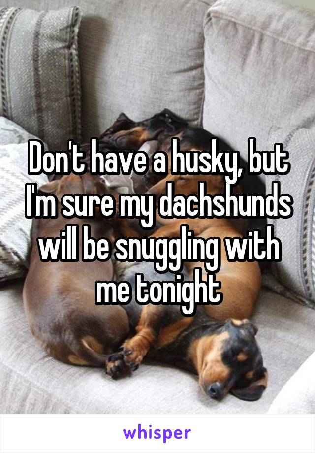 Don't have a husky, but I'm sure my dachshunds will be snuggling with me tonight